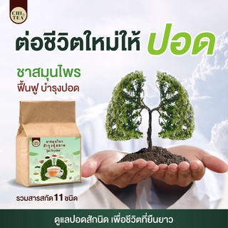 (โปร 3แถม1) ส่งเร็ว ชาบำรุงปอด ชาฟอกปอด 🍃( CHI TEA ) ชาสมุนไพรจีน บำรุงปอด ชาฟอกปอด ฟื้นฟูปอด แก้ไอ ขับเสมหะ ส่งฟรี