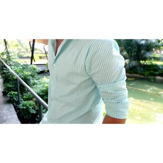 เสื้อเชิ๊ตลายทางสีเขียวมิ้น unisex ผ้าoxford ทรงslimfit