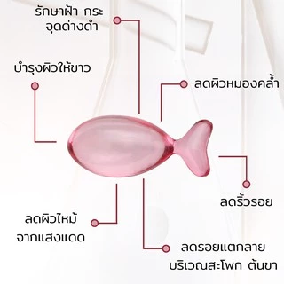 Pro Skin แคปซูลวิตามิน สกัดจากเมล็ดองุ่น 6 ชิ้น ช่วยลดริ้วรอย ฝ้า กระ และจุดด่างดำ กระตุ้นการสร้างคอลลาเจน สมูทอี
