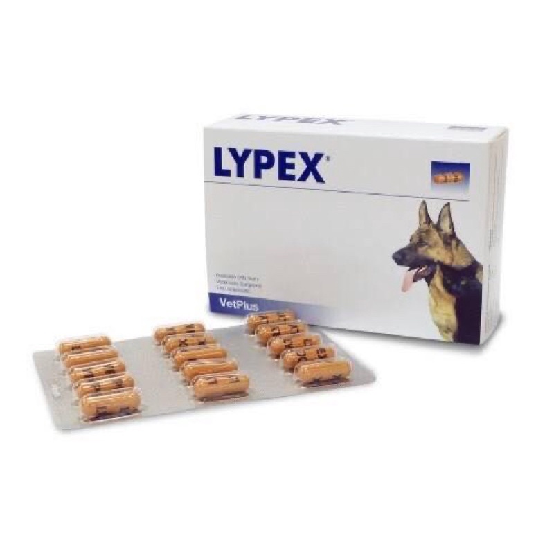 LYPEX 6เม็ด เอมไซม์ช่วยย่อยอาหาร สุนัข-แมว