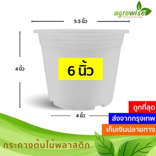 🌵 กระถางต้นไม้พลาสติก สีขาว ครีม 6 นิ้ว ราคาส่ง