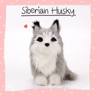 🇹🇭 โมเดลไซบีเรียน ฮัสกี้ Siberian Husky Model ไซบีเรียนจำลอง ขนกระต่าย สุนัขจำลอง หมาจำลอง เหมือนจริง สวย รายละเอียดดี