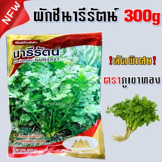 เมล็ดผักชีนารีรัตน์ ตราภูเขาทอง ขนาด 300 กรัม ผักชีนารีรัตน์ เมล็ดผักชีตราภูเข  เมล็ดผักชี  เมล็ดพันธ์ุผักชี พันธุ์ผักชี