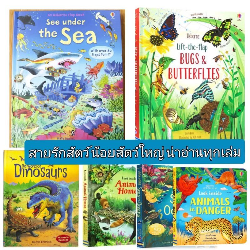 🌟New🌟 หนังสืออ่านภาษาอังกฤษ มีหน้าต่างเปิดปิด lift the flap look inside thumbnail 8