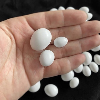 ไข่ปลอมพลาสติกสีขาว ใช้สำหรับทดแทนไข่จริง นกพิราบ ฟินส์ ฟอพั…