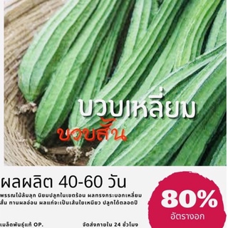 เมล็ดพันธุ์ บวบเหลี่ยมสั้น 75 เมล็ด บวบเหลี่ยม บวบ (ซื้อ 10 แถม 1 คละอย่างได้)