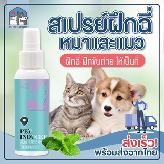 🐶🐱 2 แถม 1 สเปรย์ฝึกฉี่ สเปร์ยฝึกถ่าย สำหรับสุนัขและแมว สเปรย์ฝึกฉี่ลูกสุนัข สเปรย์ให้ฉี่หรือขับถ่าย ฝึกวินัยหมาแมว