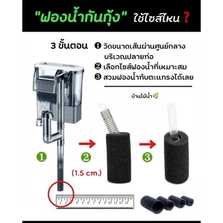 ฟองน้ำกันลูกกุ้ง ฟองน้ำกันกุ้ง ฟองน้ำเครื่องกรอง ฟองน้ำกันสิ่งสกปรก กรองแขวน กรองนอก ปั๊มน้ำ | บ้านไม้น้ำ🌿