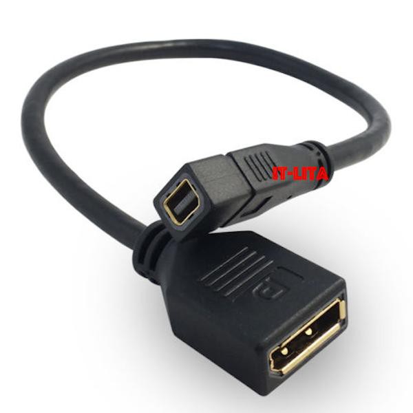 ลดราคา Mini DP Female To DP Female Adapter Display Port Cable Converter 30cm #ค้นหาเพิ่มเติม Anycast Capture Card USB ตัวแปลงสัญญาณ Wifiเครื่องขยายเสียงไร้สาย