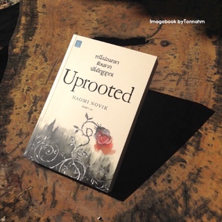 หนึ่งมนตรา ร้อยราก พันวิญญาณ (Uprooted) / Naomi Novik มัณฑุกา  แปล