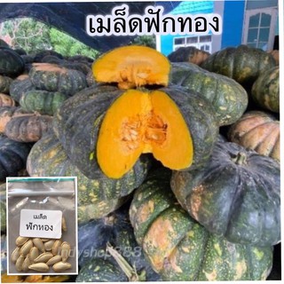 เมล็ดฟักทอง 20เมล็ด [10 เเถม 1 คละได้ ]