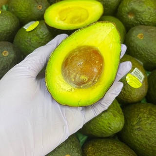 อโวคาโดนิวซีแลนด์ (Avocado imports from New Zealand) 6 ลูก