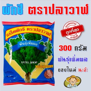 เมล็ดผักชีปลาวาฬ เพิ่มผล ขนาด 300 กรัม ผักชีปลาวาฬ เมล็ดผักชีเพิ่มผล เมล็ดผักชี เมล็ดพันธ์ุผักชี พันธุ์พูนผล