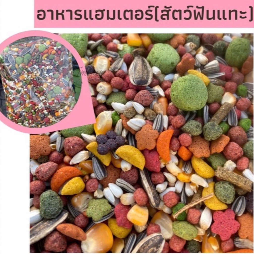 [[สั่งขั่นต่ำ2ชิ้น]] Rodent Food 100g อาหารหนูแฮมสเตอร์ ธัญพืชรวม ผสมอาหารเม็ด แบ่งขายขนาด 100 กรัม
