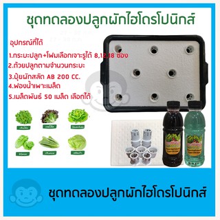 ชุดทดลองปลูกผักไฮโดรโปนิกส์ ปลูกผักไร้ดิน 8 ช่อง 12 ช่อง 18 ช่อง(สำหรับมือใหม่)