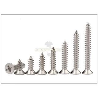 น็อต สกรู หัวเตเปอร์ หัวเรียบ แฉก F+ สแตนเลส 304 เกลียวปล่อย ปลายแหลม #6 / Flat Head Phillip Tapping Screw SUS304 #6