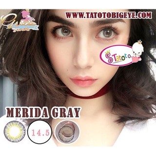 Merida Gray  TATOTO Contact Lenses บิ๊กอาย #9