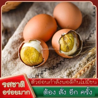 ไข่ลูก ไข่ลูกไก่อ่อน ไข่ลูกเวียดนาม รสชาตินัวๆ กลมกล่อม ไข่ลูกพอดีคำ