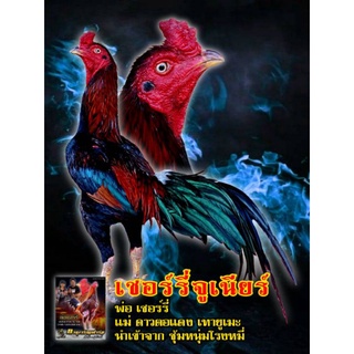 ไข่เชื้อไก่ชนสายเลือดเชอร์รี่ม้าล่อIQ108📌vip