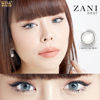 zani gray สีเทาแซ่บ ตาโดดเด่น 💖