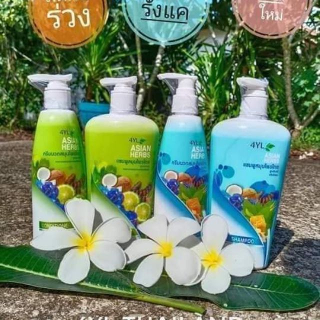 แชมพูสมุนไพรลดผมร่วง4YL