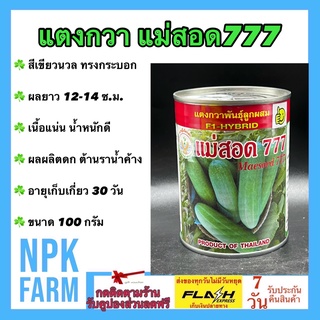 แตงกวาแม่สอด777 ลอตใหม่ งอกดี 100 กรัม เมล็ดพันธุ์ แตงกวา ผลสีเขียวนวล ยาว 12 ซม. เนื้อแน่น น้ำหนักดี ทรงกระบอก ผลผลิตดก