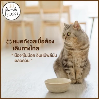 KUMAまเครื่องให้อาหารแมวอัตโนมัติ 3.5 ลิตร ที่ให้อาหารอัตโนมัติ เครื่องให้อาหาร สุนัข ชามข้าว ชามอาหาร หมา แมว อัตโนมัติ