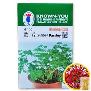【จุด】【ที่พักสไตล์ออนเซ็น790จัดส่งฟรี】ผักชีฝรั่งเมล็ด (荷兰芹 Italy (อิตาลี) 香芹 巴西利 ริเบลราโอ) parsley文胸/上衣/苹果/母婴/花园/内裤/男装/香