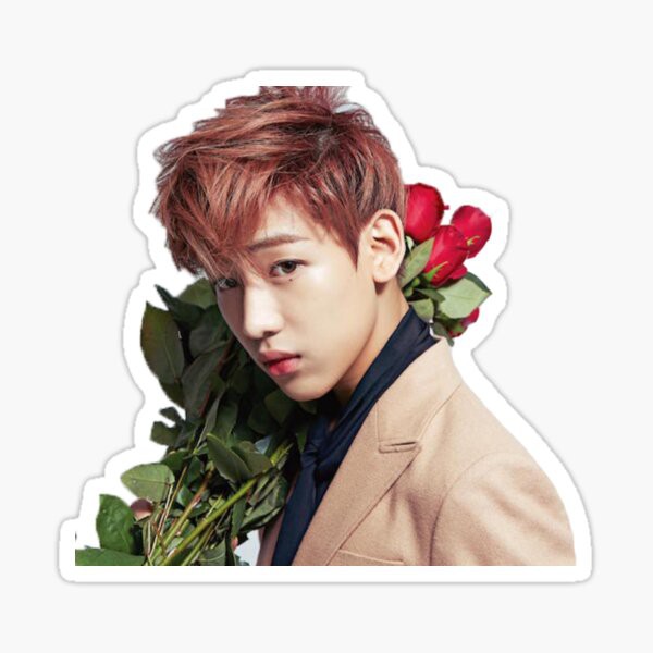 สติ๊กเกอร์ สติ๊กเกอร์กันน้ำ สติ๊กเกอร์ติดรถ แม๊กเนท แม่เหล็กติดตู้เย็น ตัวติดตู้เย็น แบมแบม BamBam G