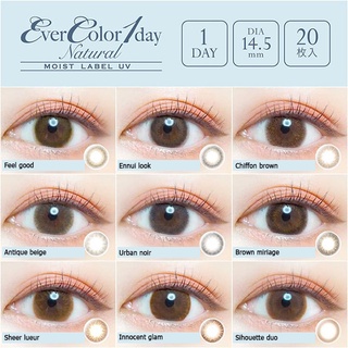 Contactlens คอนแทคเลนส์ญี่ปุ่นรายวัน Evercolor