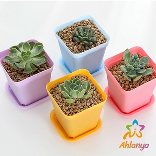 Ahlanya กระถางต้นไม้พลาสติก พร้อมถาดรอง กระถางขนาดเล็ก  Plastic flowerpot