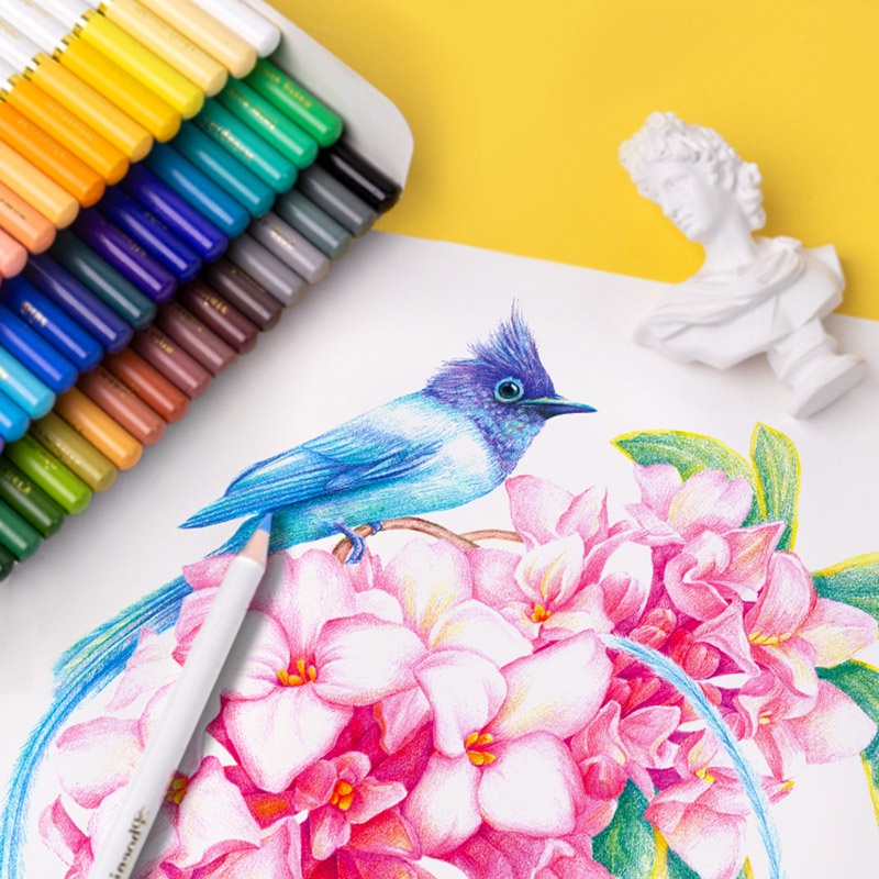 new-andstal-phoenixcolor-364872colors-non-toxic-oil-colored-pencils
