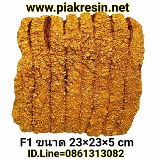 โมเดล รวมแบบ หมูกรอบF1 - F7 รวม 7 แบบ เนื้อเรซิ่น หมูกรอบเรซิ่น โมเดลหมูกรอบ ข้าวหมูกรอบ
