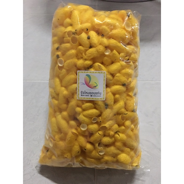 รังไหม(สีเหลืองทอง) ไม่คัดเศษ cocoon organic 100% ขนาด 100 กรัม