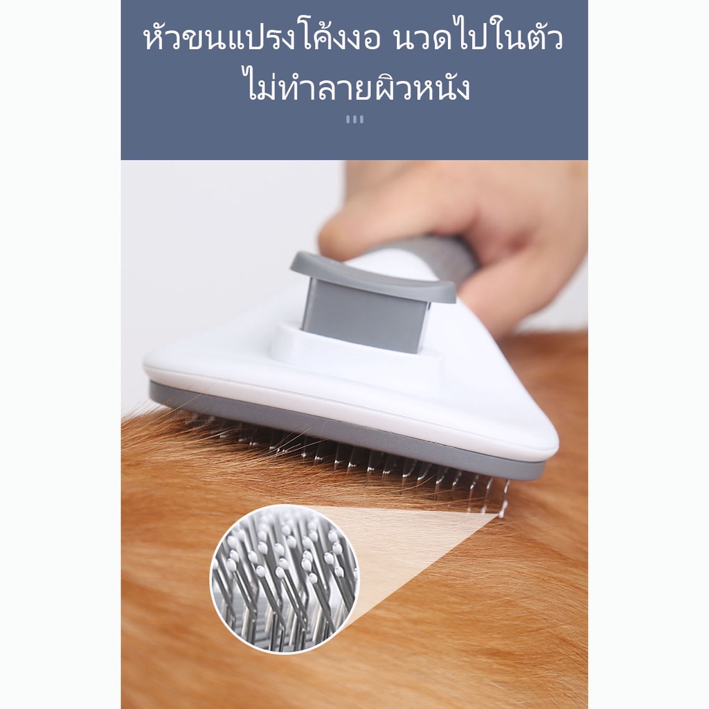 หวีแปรงขนสัตว์เลี้ยง แปรงหวีขน สุนัข แมว กระต่าย แบบมีปุ่มดันขนออก - รูปที่ 3