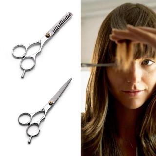 Professional Hair Cutting Thinning Scissors Barber Shears Hairdressing Salon