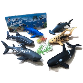 🐳🐋 Sea animalโมเดลปลา🐬🐋สัตว์ทะเล สัตว์น้ำ สัตว์จำลอง สัตว์ของเล่น Simulation aquatic animal model set