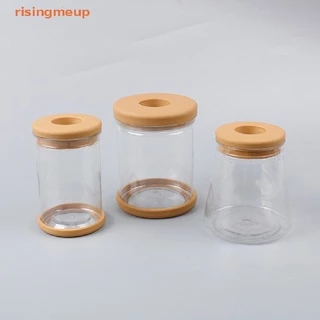 [risingmeup] กระถางดอกไม้พลาสติกใส ดูดซับน้ําอัตโนมัติ