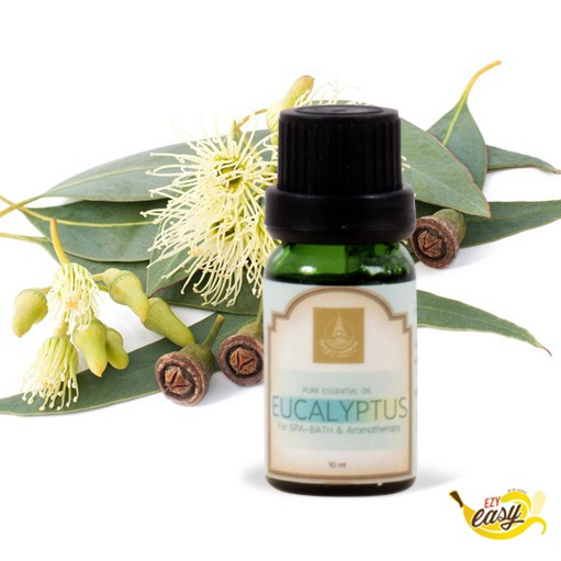 0011-น้ำมันหอมระเหยกลิ่นยูคาลิปตัส มูลนิธิโครงการหลวง(EXP.04/26)/Pure EucalyptusOil น้ำมันหอมระเหย