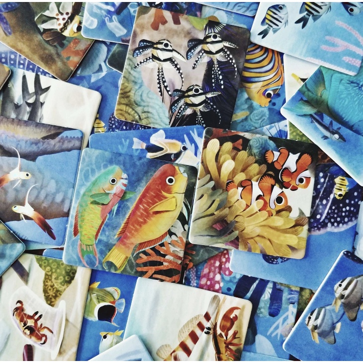 Reef Rescue - Board Game - บอร์ดเกม - ของแท้ - payakarun_boardgame ...