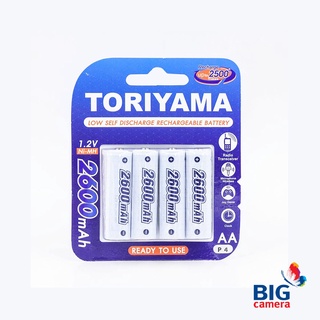 Toriyama RC BT TR Battery AA