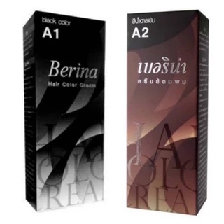 A1- A2 เบอริน่า ยาย้อมผม สีผมราคาถูก มีราคาส่ง
