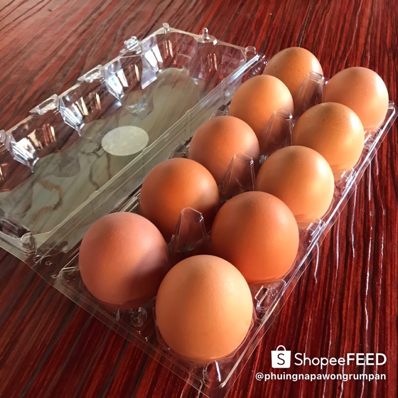 ไข่ไก่สดๆออแกนิกเลี้ยงเอง(10ฟอง)เบอร์3(ราคา79บาท)ทานดิบได้ไม่คาว ปลอดสารเคมี ห่อกันกระแทกอย่างดี