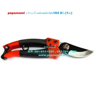 (1อัน) กรรไกรตัดกิ่งไม้ SOLO 164 ปากตรง ยาว 8นิ้ว papamami Pruning Shears กรรไกรตัดแต่งกิ่ง คีมตัดกิ่ง ที่ตัดกิ่งไม้ กรร