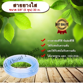 สายยางใส ขนาด 5/8” (5 หุน) 30 m. สายยางรดน้ำ สายยางล้างรถ สายยางใส สายยาง 5 หุน สายยางรดต้นไม้ สายยางรดน้ำต้นไม้