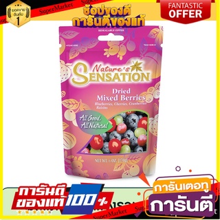 เนเจอร์เซ็นเซชั่น ผลไม้เบอร์รี่แห้งรวม  170 g. Natures Sensation Dried Mixed Berries  170 g.