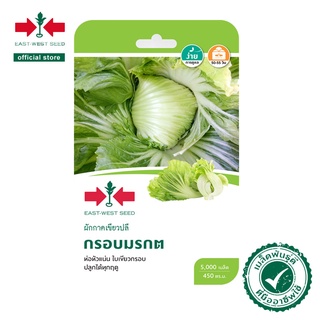 ศรแดง เมล็ดพันธุ์ผักกาดเขียวปลี กรอบมรกต (East-West Seed) เม…