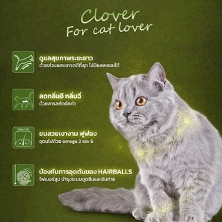 Clover อาหารแมว ultra holistic grain-free ขนาด 5 กก. อาหารแมวชนิดแห้ง อาหารแมวชนิดเม็ด อาหารเม็ดแมว