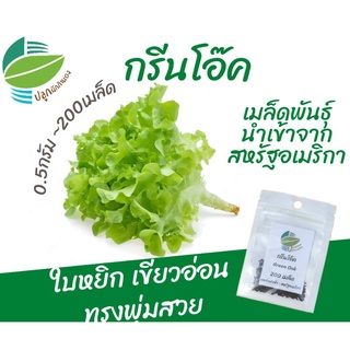 กรีนโอ๊ค 200 เมล็ด จากสหรัฐ​อเมริกา (Green Oak)​ #ผักสลัด