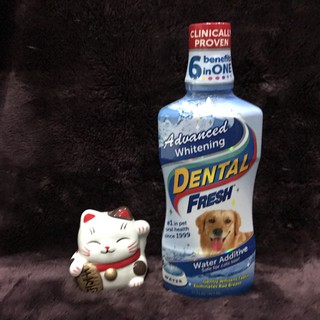 Dental Fresh for Dog สูตร Whitening 503 ml.